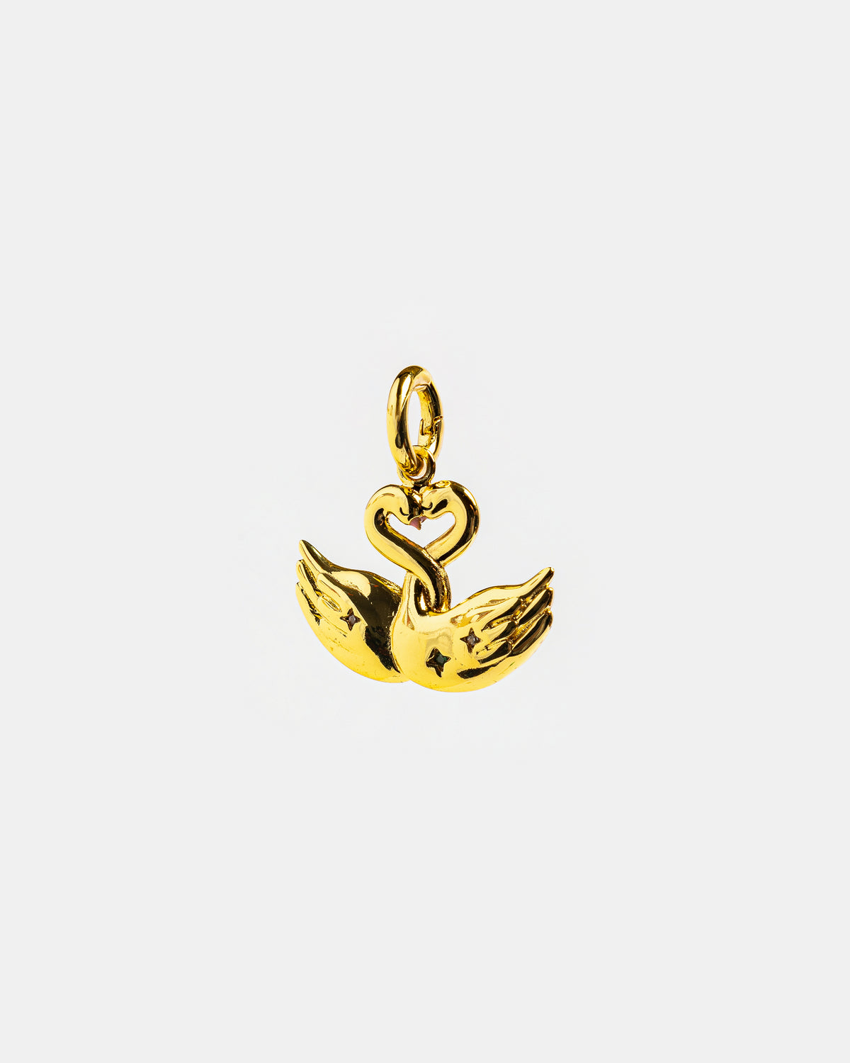 Charm Cisnes