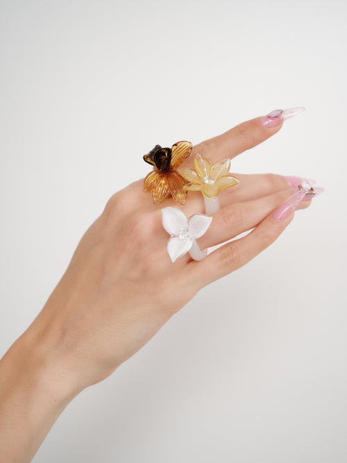 Anillo Campo